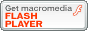 Get Macromedia Flash