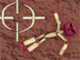 More Ragdoll Cannon! Fire your stickmen to the target and finish all 70 levels.