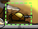 StormWinds