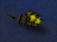 Treasure of Cutlass Reef